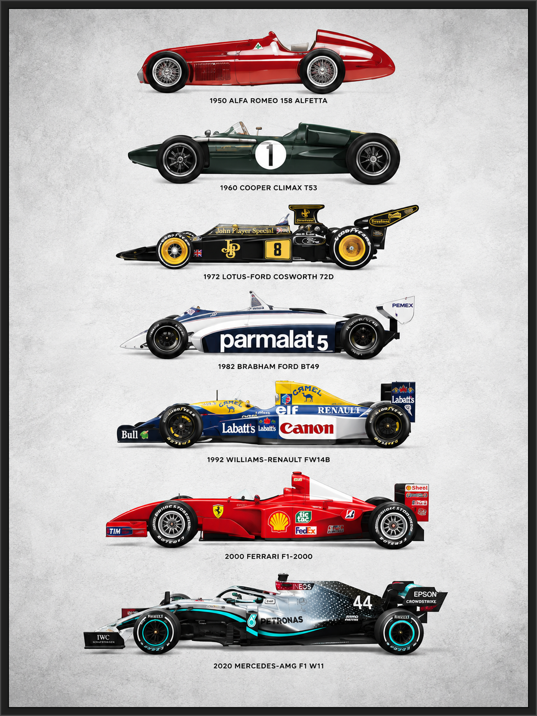 Evolution