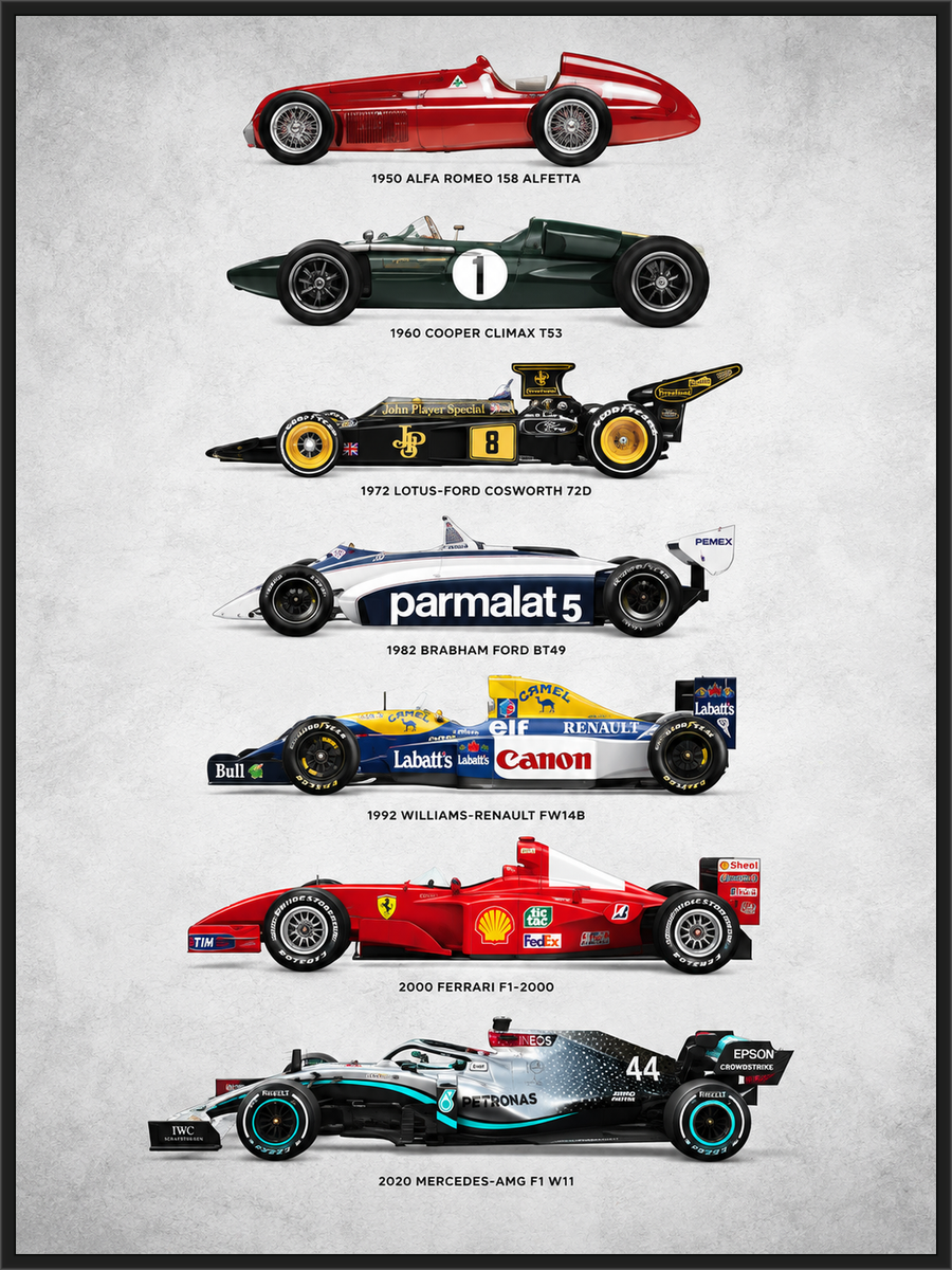 Evolution
